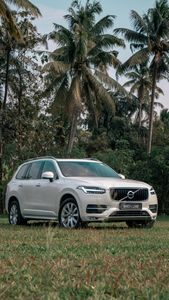 A white Volvo XC90 parked in a lush field with coconut trees under a clear sky.