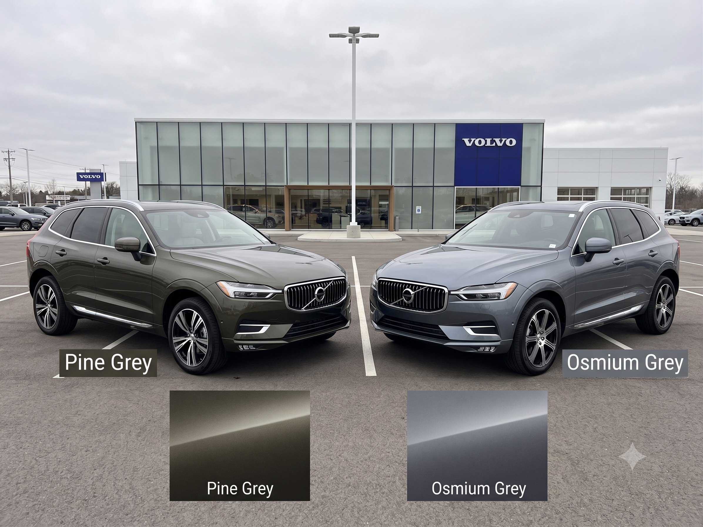 Volvo Pine Grey vs Osmium Grey?